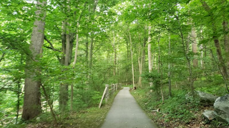 Jones Pond Park - Downingtown, PA