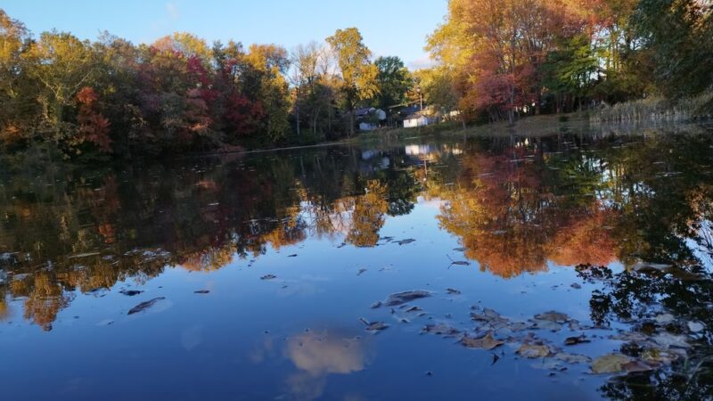 Kardon Park - Downingtown, PA
