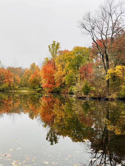 Kardon Park - Downingtown, PA