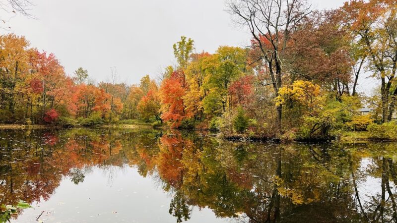 Kardon Park - Downingtown, PA