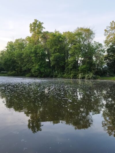 Kardon Park - Downingtown, PA