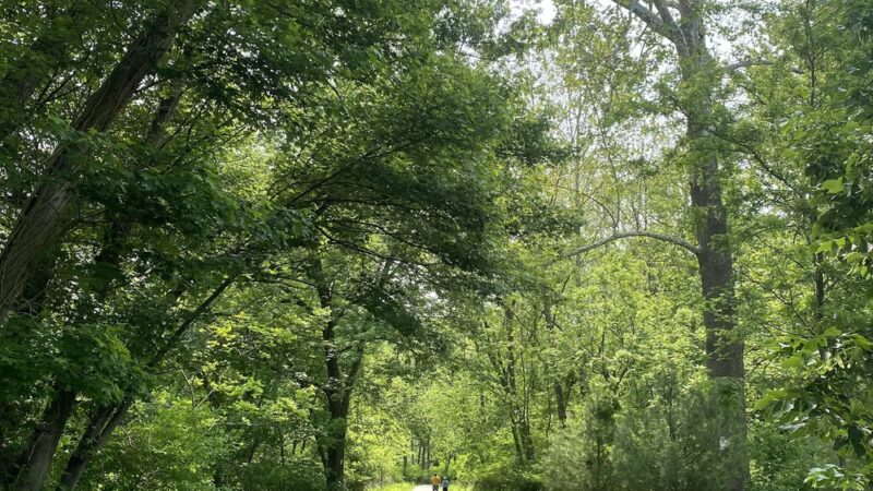 Marsh Creek Trailhead - Downingtown, PA