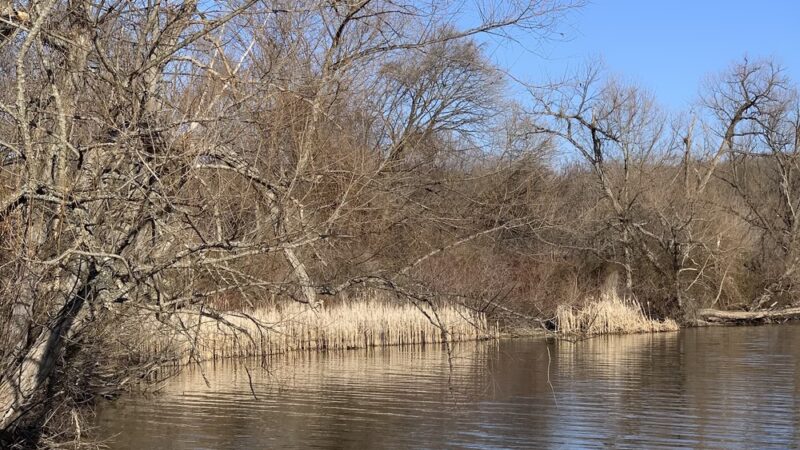 Marsh Creek Trailhead - Downingtown, PA