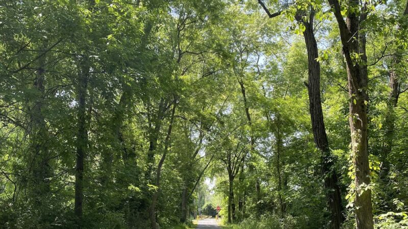 Struble-Lion's Trail Junction - Downingtown, PA