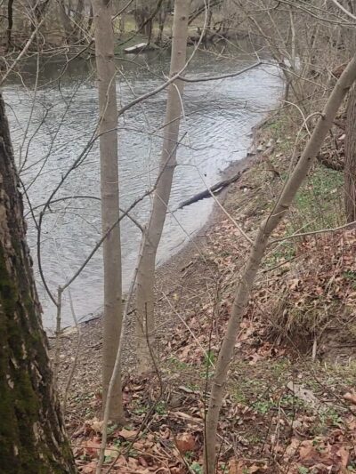 Castle Valley Park - Doylestown, PA