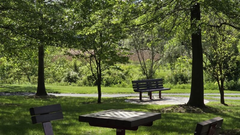 Central Park - Doylestown, PA