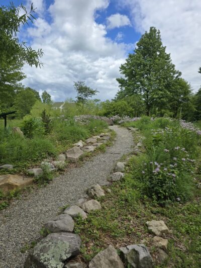 Central Park - Doylestown, PA