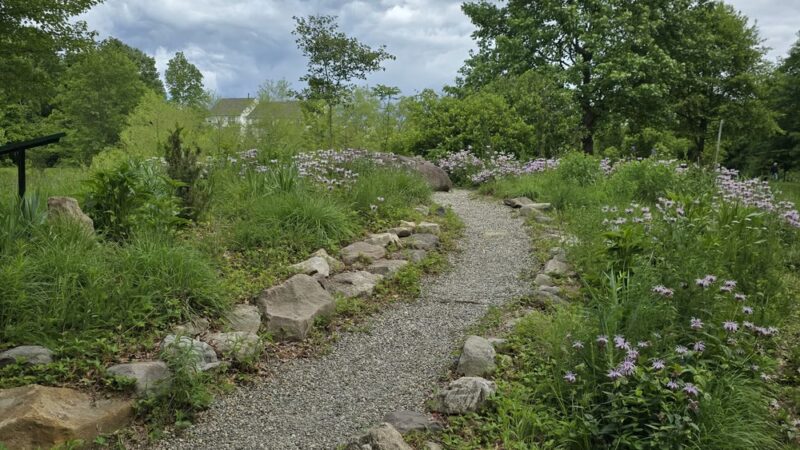 Central Park - Doylestown, PA