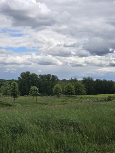 Central Park - Doylestown, PA