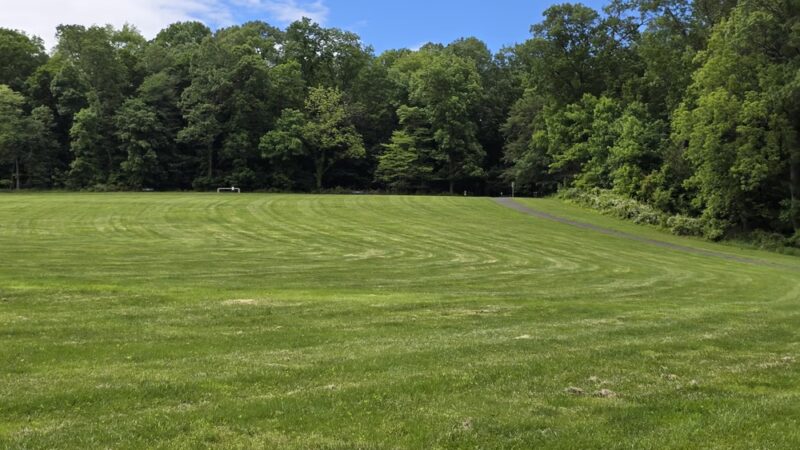 Central Park - Doylestown, PA