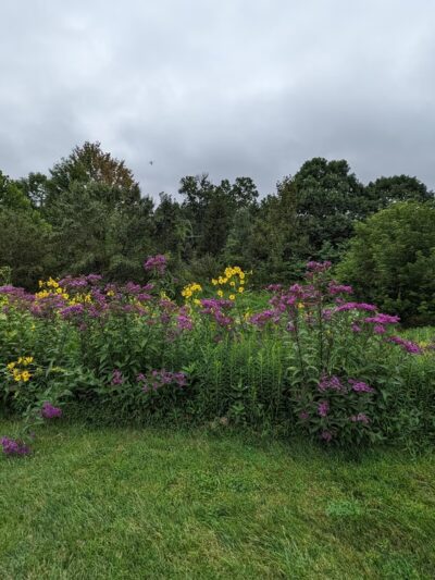 George M. Bush Park - Doylestown, PA