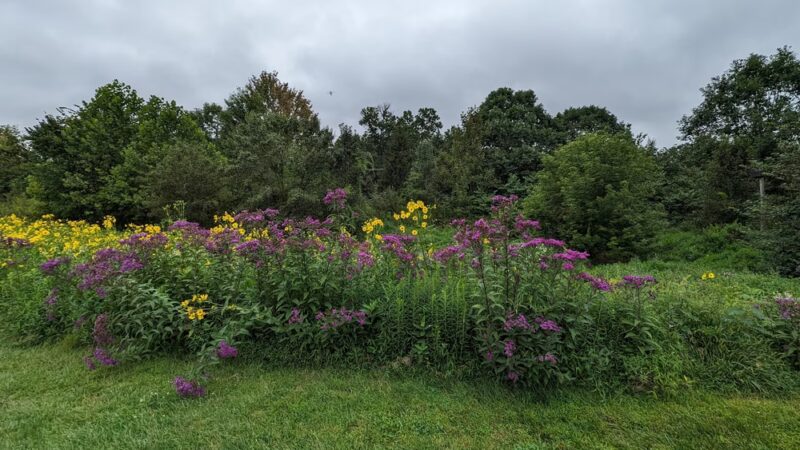 George M. Bush Park - Doylestown, PA
