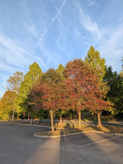 George M. Bush Park - Doylestown, PA