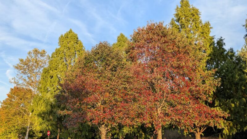 George M. Bush Park - Doylestown, PA