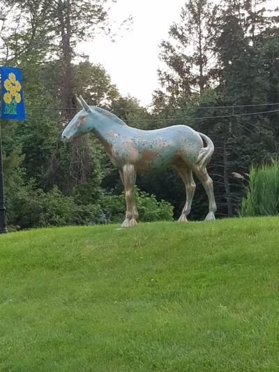 Holicong Park - Doylestown, PA