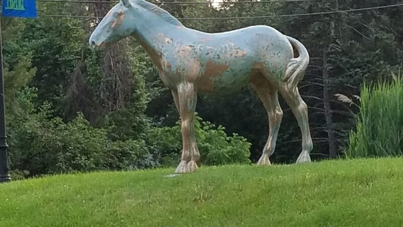 Holicong Park - Doylestown, PA