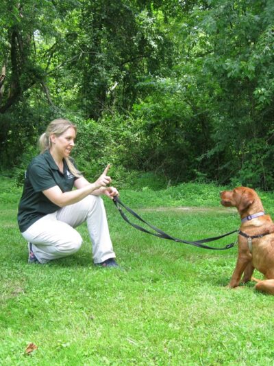 Holiday House Pet Resort & Training Center - Doylestown, PA