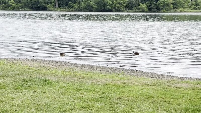 Lake Galena - Doylestown, PA