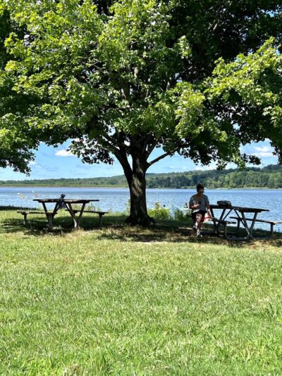 Lake Galena - Doylestown, PA