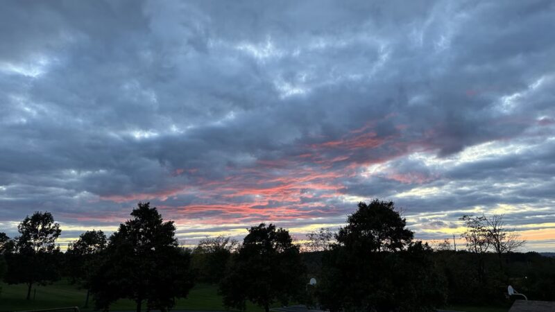 Landis Park - Doylestown, PA