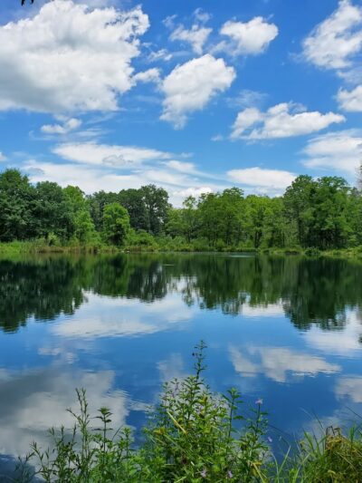 Owl's Nest Park - Doylestown, PA