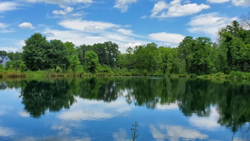 Owl's Nest Park - Doylestown, PA