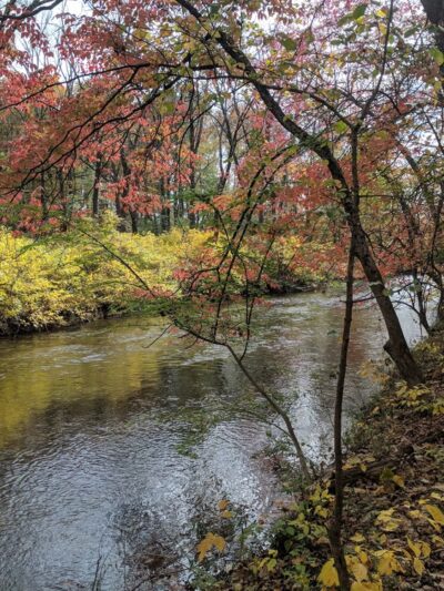 Owl's Nest Park - Doylestown, PA