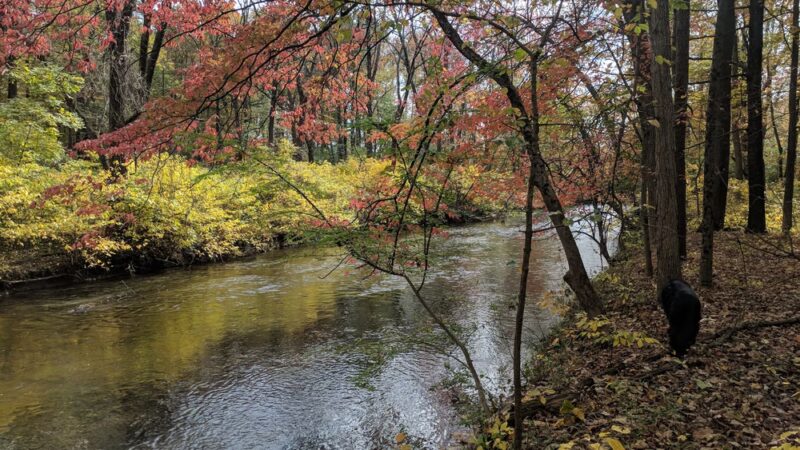Owl's Nest Park - Doylestown, PA