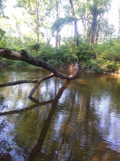 Owl's Nest Park - Doylestown, PA