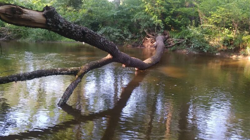 Owl's Nest Park - Doylestown, PA