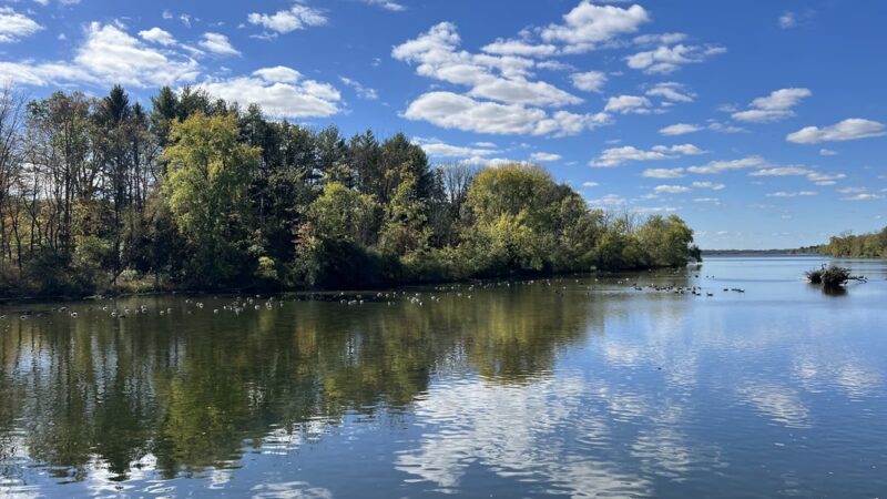 Peace Valley Nature Center - Doylestown, PA