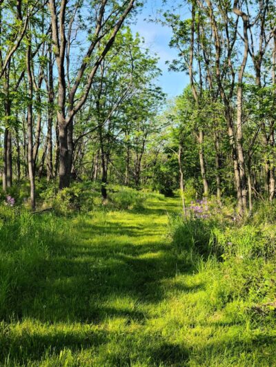 Peace Valley Nature Center - Doylestown, PA