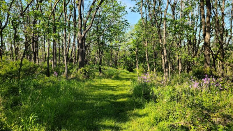 Peace Valley Nature Center - Doylestown, PA