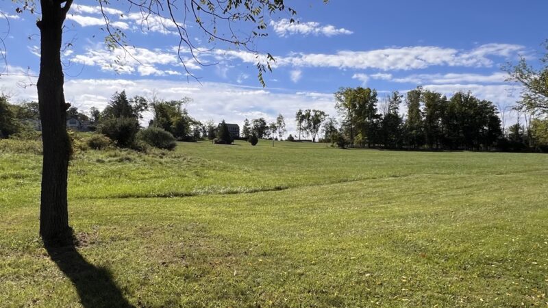 Peace Valley Parking Area & Boat Launch - Doylestown, PA