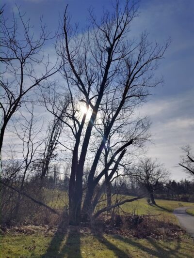 Peace Valley Parking Area & Boat Launch - Doylestown, PA