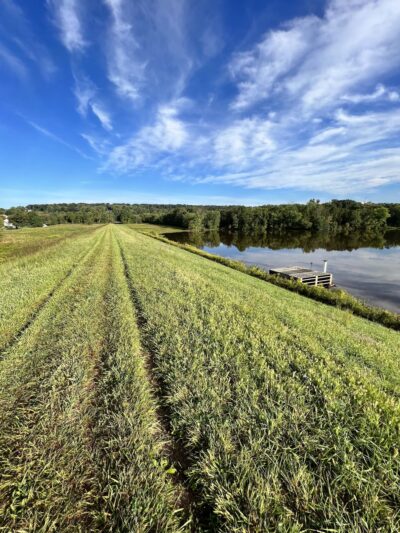 Pine Run Reservoir Parking - Doylestown, PA