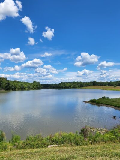 Pine Run Reservoir Parking - Doylestown, PA