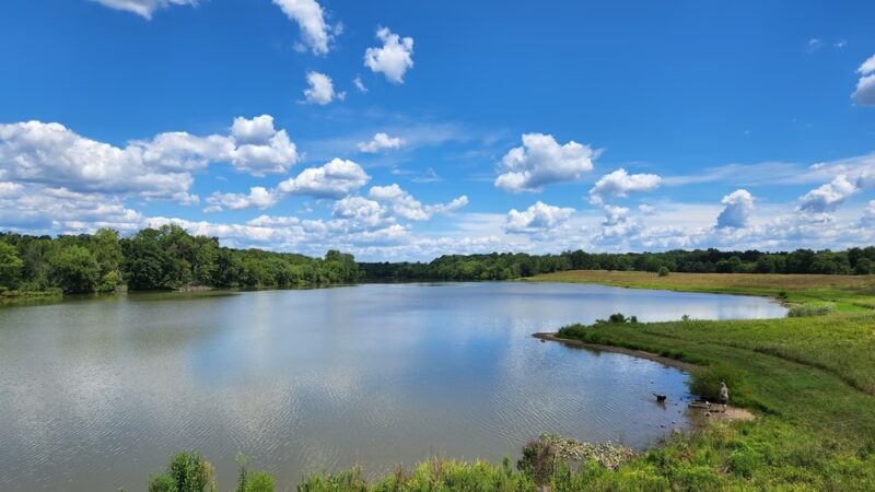 Pine Run Reservoir Parking - Doylestown, PA