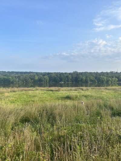 Pine Run Reservoir Parking - Doylestown, PA