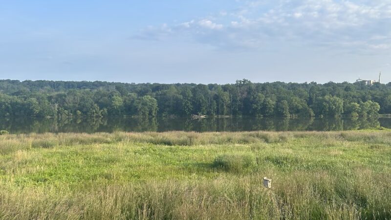Pine Run Reservoir Parking - Doylestown, PA