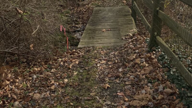 Sauerman Park - Doylestown, PA