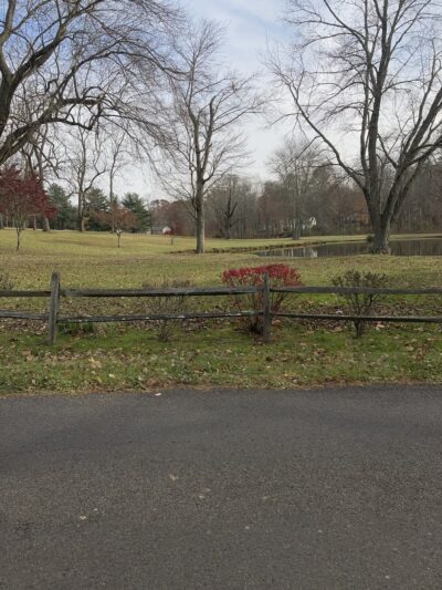 Sauerman Park - Doylestown, PA