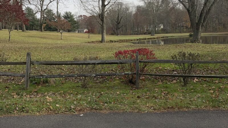 Sauerman Park - Doylestown, PA