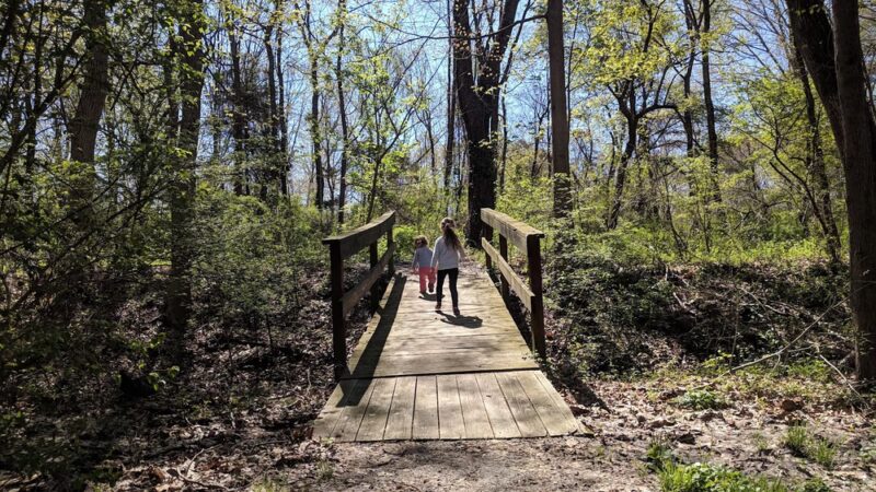 Sauerman Park - Doylestown, PA