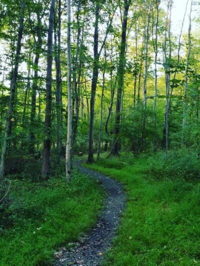 Sauerman Park - Doylestown, PA