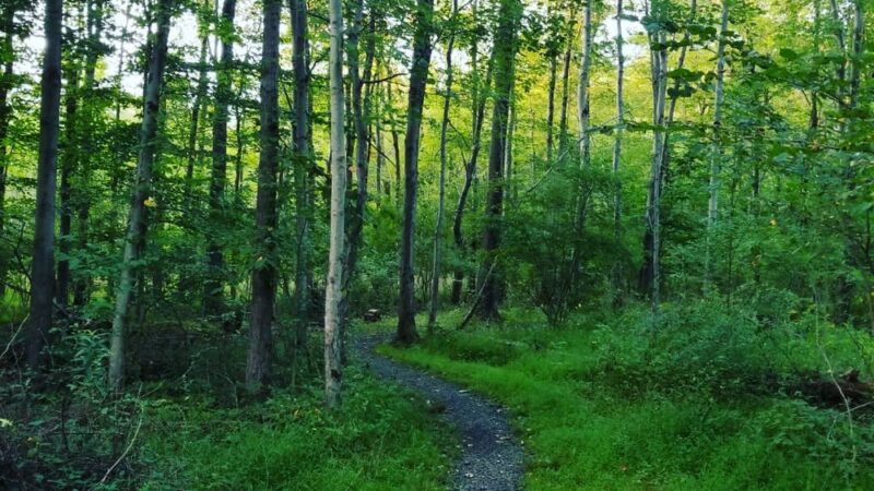 Sauerman Park - Doylestown, PA