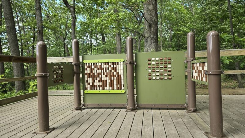 Sensory Trail - Doylestown - Doylestown, PA