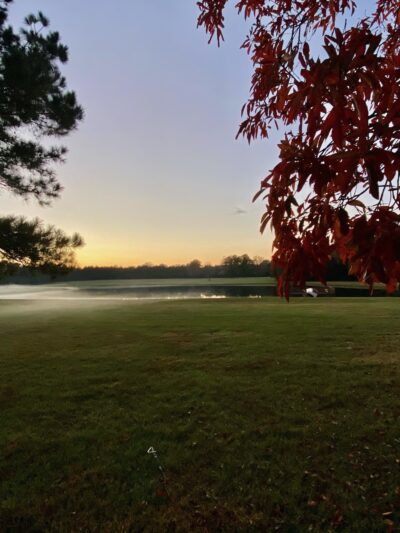 Molly's Meadow - Doyline, LA