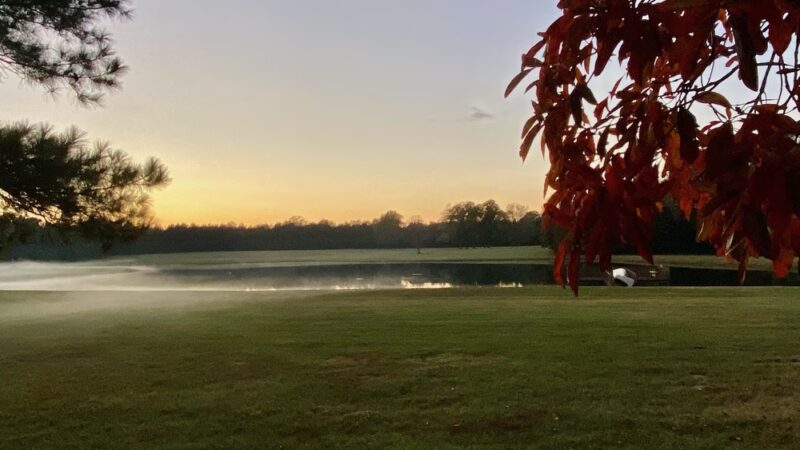 Molly's Meadow - Doyline, LA