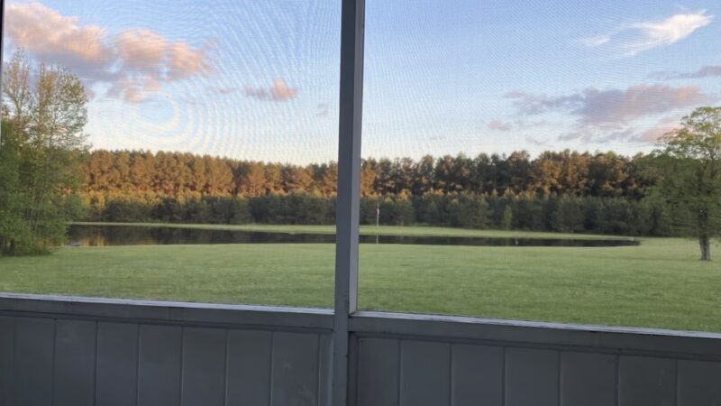 Molly's Meadow - Doyline, LA